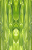 Chartreuse Water BTW25KS Acrylic Knife Scale 1/4" x 1 1/2" x 6"