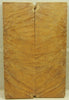 Mallee Brown  Burl (2 pc) Knife Scales  1/4" x 2" x 6" 5171