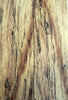 Tamarind Spalted (2 pc) Razor Knife Scales 3/16" x 2" x 6" - 0800