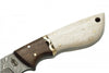 X BuckNBear Drop Point Hunter 8 1/2" long