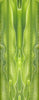 Chartreuse Water BTW25Mini Acrylic Mini Knife Scale 3/16" x 1" x 6"