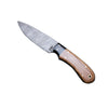 X BuckNBear Drop Point Utility Hunter 8 1/2" long