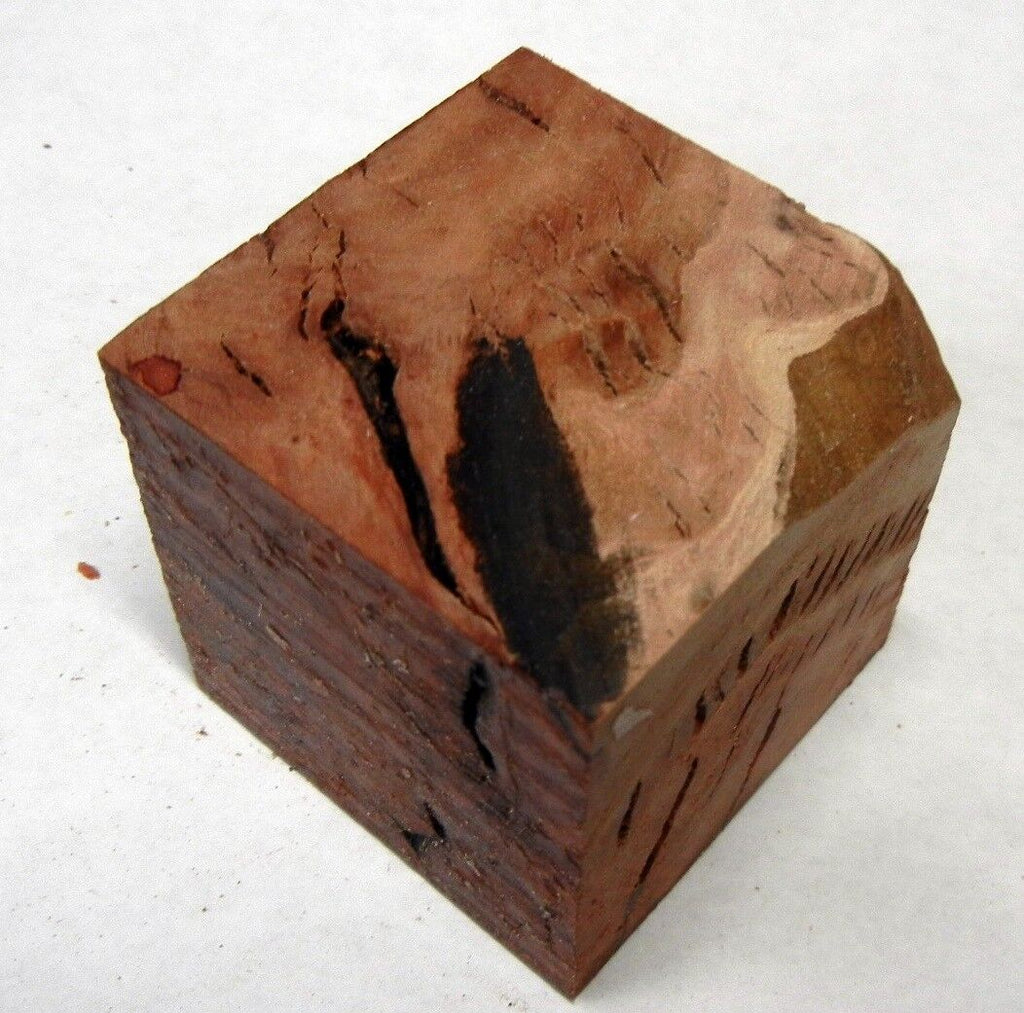 Coolabah Burl (1 pc) Cube 2" - 1863