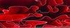 Ruby WaterBTW103KSM Acrylic (2 pc) Knife Scales 1/4" x 1 1/2" x 5"