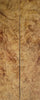 Amboyna Burl Eye (2pc) Knife Scales 3/16"x1"x5"  012923 (42)
