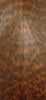 X Snakewood (2 pc) Knife Scale 3/16" x 1 1/2" x 5"