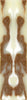 Cappuccino Acrylic Mini Knife Scale (2pc) 3/16"x3/4"x5" BTWKSMINI1097