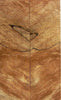 Maple Soft Spalted Extreme (2 pc) Knife Scales 1/4" x 1 1/2" x 5" - 0718