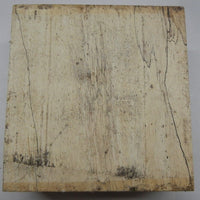 Tamarind Spalted (1 pc) Bowl Blank 3" x 6" - 2055