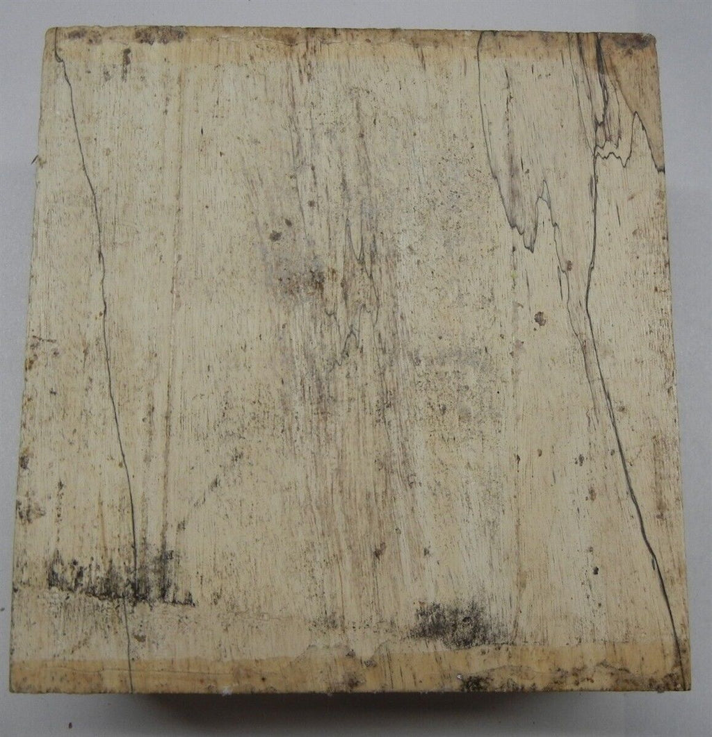 Tamarind Spalted (1 pc) Bowl Blank 3" x 6" - 2055