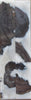 Hybrid Mopane Driftwood-White (2 pc) Knife Scales 1/4" x 3/4" x 5" - (50)