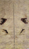 Amboyna Burl Eye (2pc) Knife Scales 1/4"x1 1/2"x5"    012923 (39)