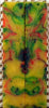 VietNam Veteran Inlace Acrylester (2 pc) Mini Knife Scales  3/16"x1"x5"    001
