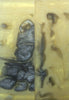 Alumilite Stabilized Buckeye Burl (2 pc) Razor Knife Scale 3/16" x 2" x 6 - 1981