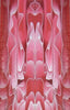 Rose Water BTW101KSS Acrylic Knife Scale 3/16" x 1 1/2" x 6"