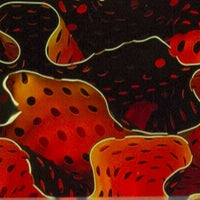 Citrine Water Mesh BTW29GC5 Acrylic (1 pc) Turning 1 1/2"sq x 5"