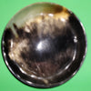 Polished buffalo horn bowl measuring 6" wide by 1 7/8" deep.