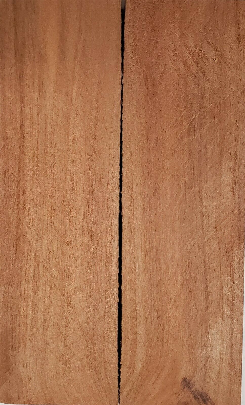 Apple (2 pc) Knife Scaless 3/8" x 1 1/2" x 5" - (7)
