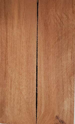 Apple (2 pc) Knife Scaless 3/8" x 1 1/2" x 5" - (7)