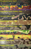 Super Pack of 10 Camo Acrylic Pen Blanks 3/4" x 3/4" x 5"