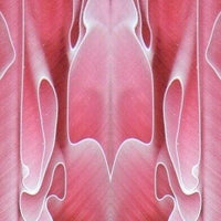 Acrylic Mini Knife Scale 3/16" x 1" x 6" Rose Water BTW - Wood Acrylic Supply