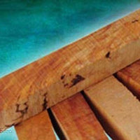 Matai Burl 1 pc Pen Blank 3/4" x 5" Blanks - Wood Acrylic Supply