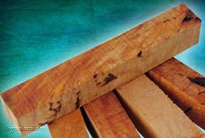 Matai Burl 1 pc Pen Blank 3/4" x 5" Blanks - Wood Acrylic Supply