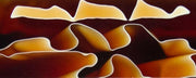 Amber Water BTW4KSL Acrylic (2 pc) Knife Scales 3/8" x 1 1/2" x 6" Amber Water BTW4KSL - Wood Acrylic Supply