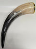 Buffalo Drinking Horn w Engraved Wolf and Brass Rim 13"