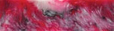 Cherry Ohio State Acrylester #44 1