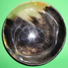 Polished buffalo horn bowl measuring 6" wide by 1 7/8" deep.