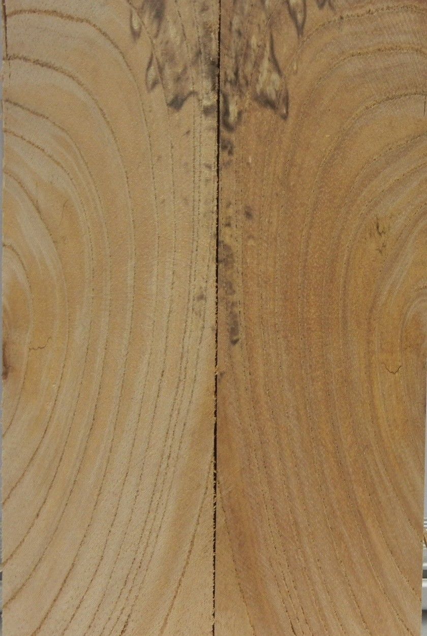 Chinaberry (2 pc) Knife Scales  3/8"x2"x6"    001 - Wood Acrylic Supply