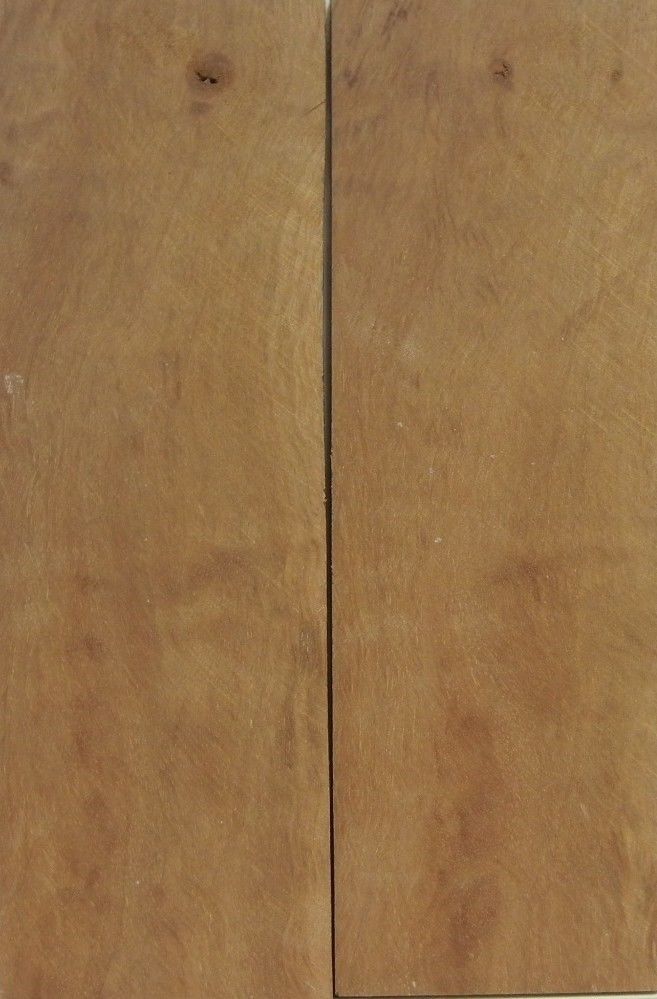 Rambutan Curly (2 pc) Straight Razor Scaless  3/16"x2"x6"    401