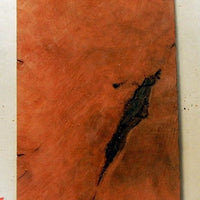 Coolabah Burl (1 pc) Inlay/Thin 3/16 x 2 x 6 - 1857 - Wood Acrylic Supply