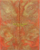 Tangerine & Gold Acrylester #62 (2 pc) Knife Scaless 1/4" x 1 3/4" x 5" 5754