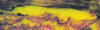 1 1/2" x 1 1/2" x 6" Game Call Banana Grape Acrylester #39 - Wood Acrylic Supply