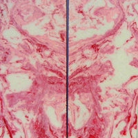 Blush Inlace Acrylester #103 (2 pc) Knife Scales  3/8"x2"x6"    001 - Wood Acrylic Supply