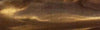 3/4" x 3/4" x 5" Pen Blank Antique Gold Acrylester 34 - Wood Acrylic Supply