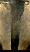 Alumilit Stabilized Buckeye Burl (2 pc) Knife Scales 1/4" x 1 3/4" x 6" - 1201 - Wood Acrylic Supply