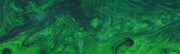 3/4" x 3/4" x 5" Pen Blank Jungle Moss Acrylester #105 - Wood Acrylic Supply