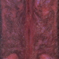 Cherries Jubilee Acrylester #37 (2 pc) Razor Knife Scaless 3/16" x 2" x 6" - 7484