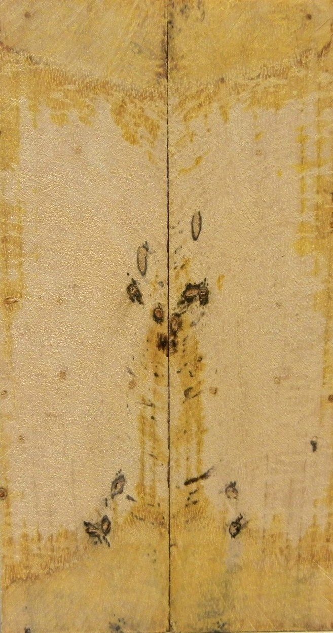 Tamarind Spalted Dyed Light Yellow (2 pc) Knife Scaless  3/16" x 1 1/2" x 6" 5116