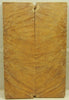 Mallee Brown  Burl (2 pc) Knife Scaless  1/4" x 2" x 6" 5171