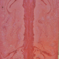 Blush Acrylester #103 (2 pc) Knife Scaless 3/8" x 2" x 6" 5974