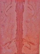 Blush Acrylester #103 (2 pc) Knife Scaless 3/8" x 2" x 6" 5974