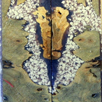 Buckeye Burl Inlace Violet White (2 pc) Knife Scales 3/8" x 1 3/4" x 6" - 7769 - Wood Acrylic Supply