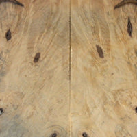 Buckeye Burl Stabilized Clear (2 pc) Knife Scales 3/8" x 2" x 5" - 8175 - Wood Acrylic Supply