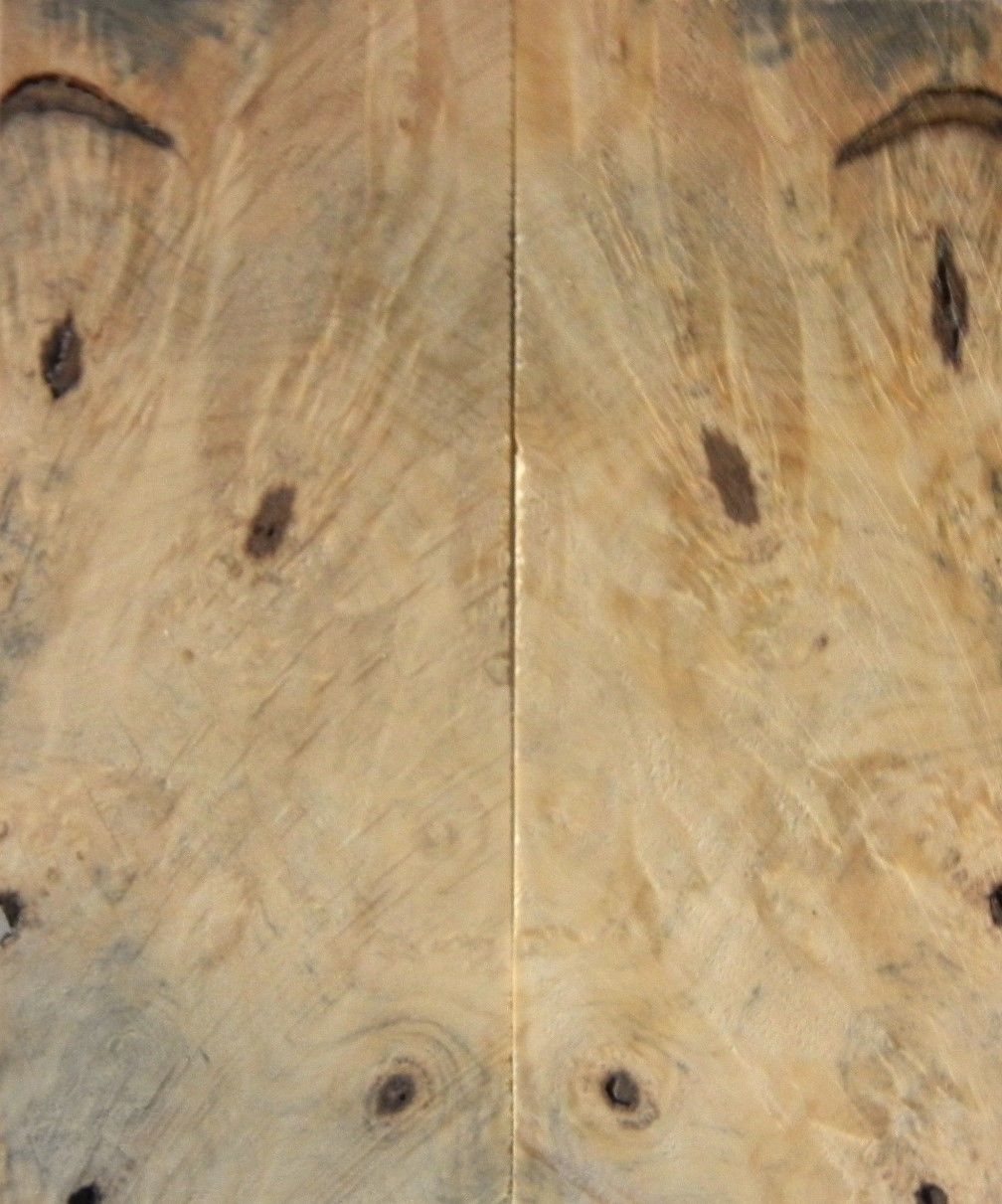 Buckeye Burl Stabilized Clear (2 pc) Knife Scales 3/8" x 2" x 5" - 8175 - Wood Acrylic Supply
