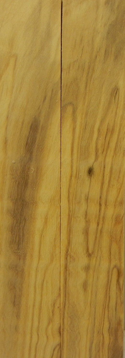 Olive Italian (2 pc) Mini Knife Scaless  3/16" x 1" x 5"    --2