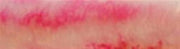1" x 1" x 6" Pen Blank Golden Violet Acrylester #30 - Wood Acrylic Supply
